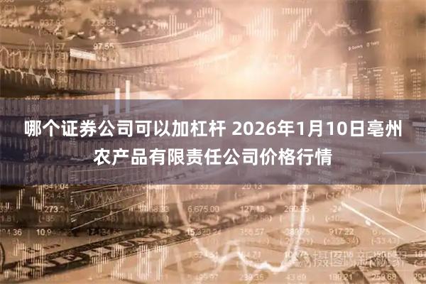 哪个证券公司可以加杠杆 2026年1月10日亳州农产品有限责任公司价格行情