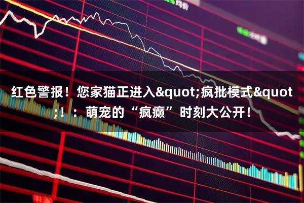 红色警报！您家猫正进入"疯批模式"！：萌宠的 “疯癫” 时刻大公开！