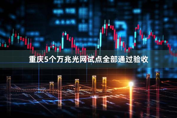 重庆5个万兆光网试点全部通过验收